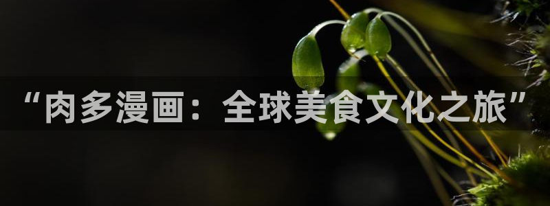 歪歪漫画站：“肉多漫画：全球美食文化之旅”