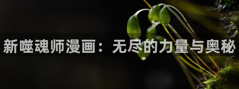 羞羞歪歪漫画汗汗漫画：新噬魂师漫画：无尽的力量与奥秘